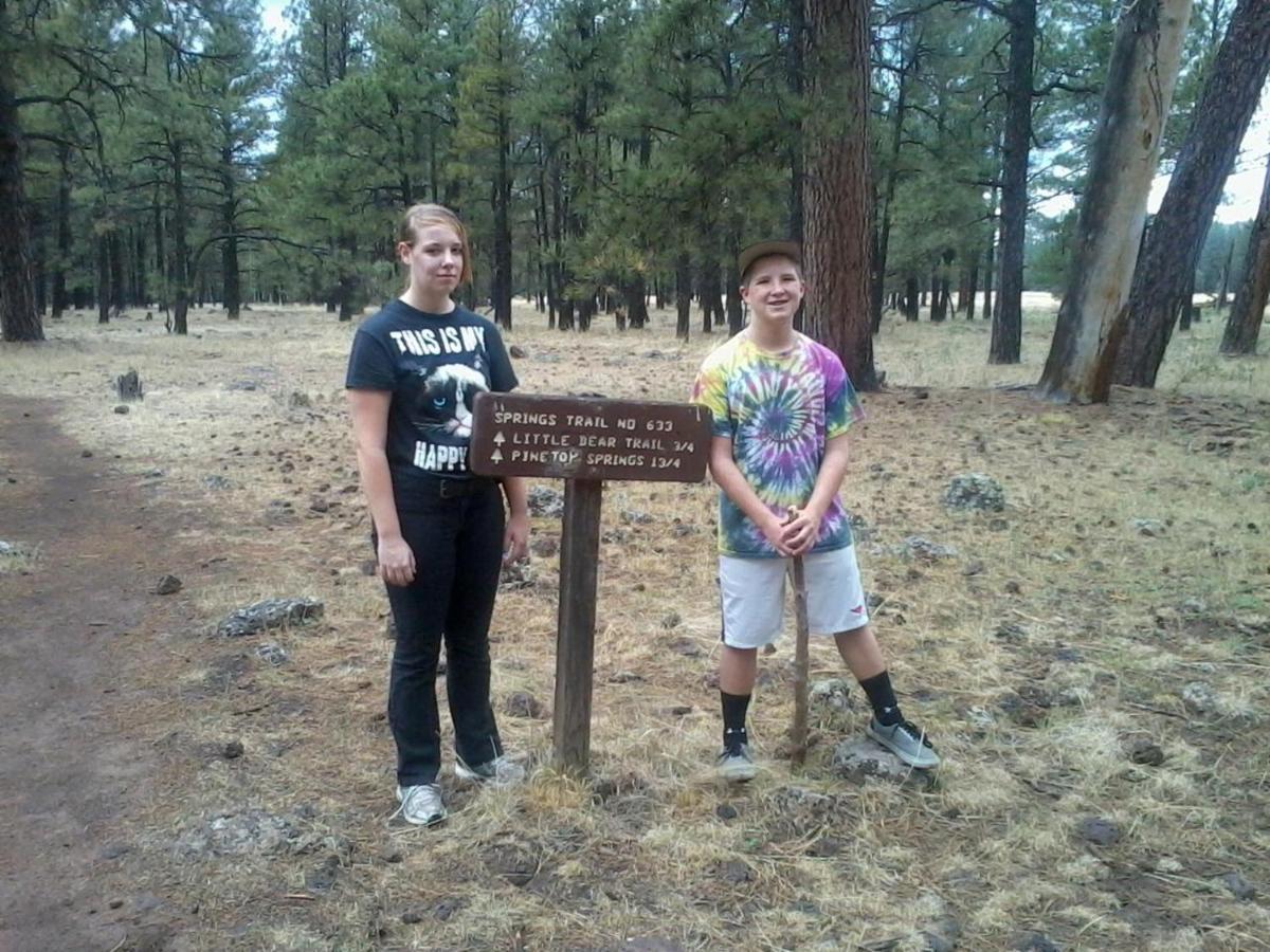 Adair Springs Cabin Pinetop-Lakeside Ngoại thất bức ảnh