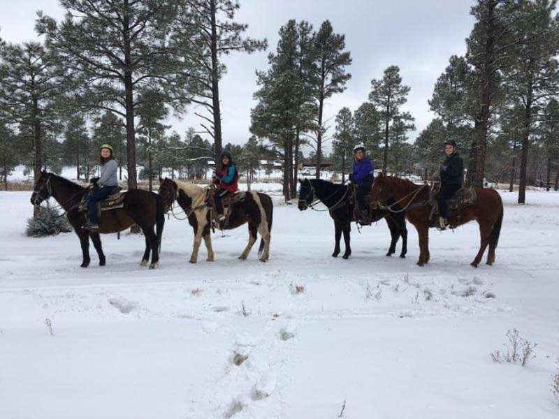 Adair Springs Cabin Pinetop-Lakeside Ngoại thất bức ảnh