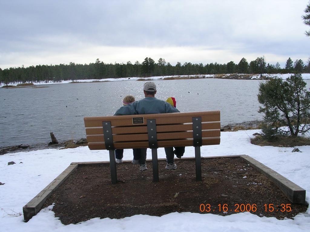 Adair Springs Cabin Pinetop-Lakeside Ngoại thất bức ảnh