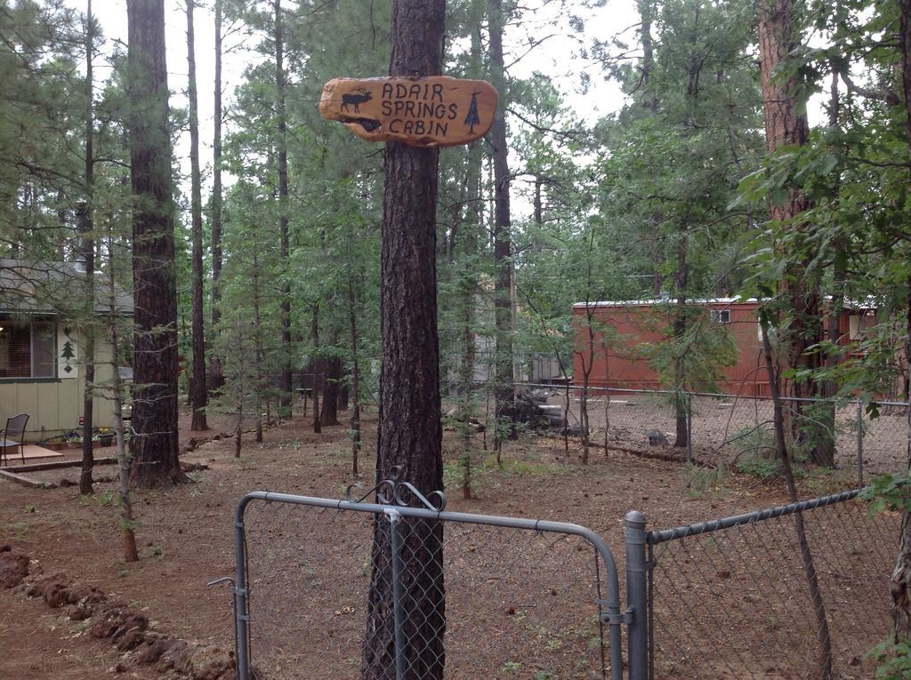 Adair Springs Cabin Pinetop-Lakeside Ngoại thất bức ảnh