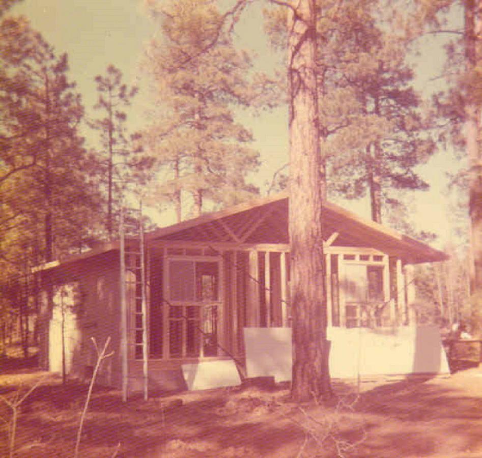 Adair Springs Cabin Pinetop-Lakeside Ngoại thất bức ảnh
